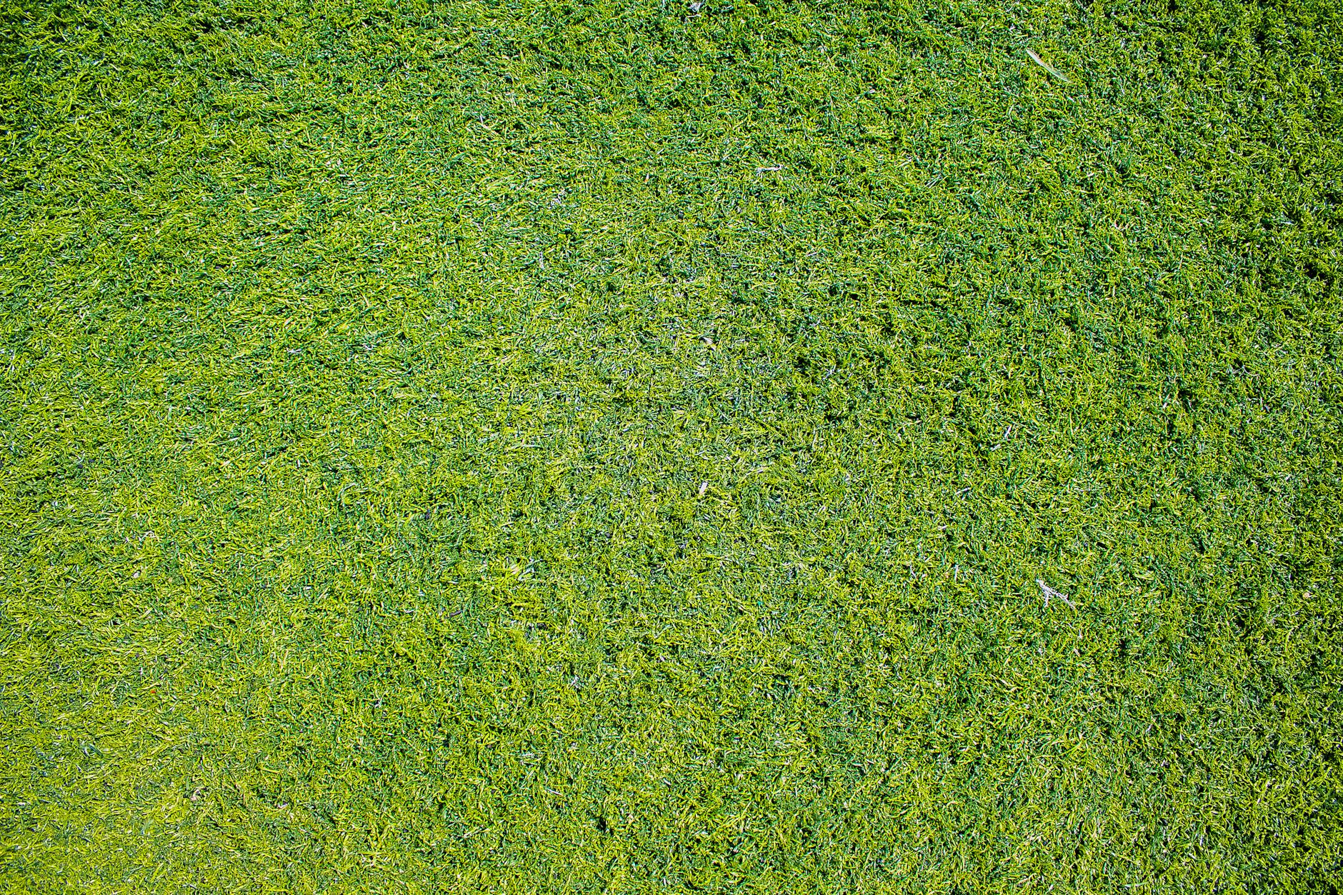 lawn care